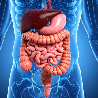 Lightens digestion and reduces bloating